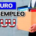 Seguros de desempleo: Cómo funcionan