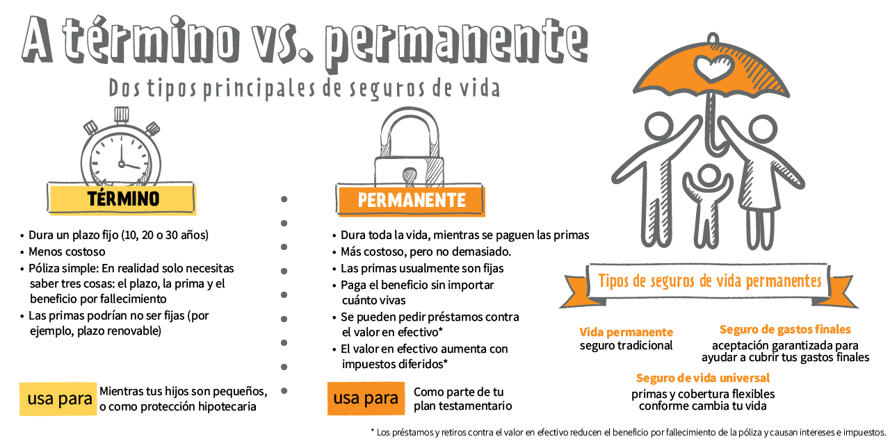 Seguros a término o vida entera - Seguros a término